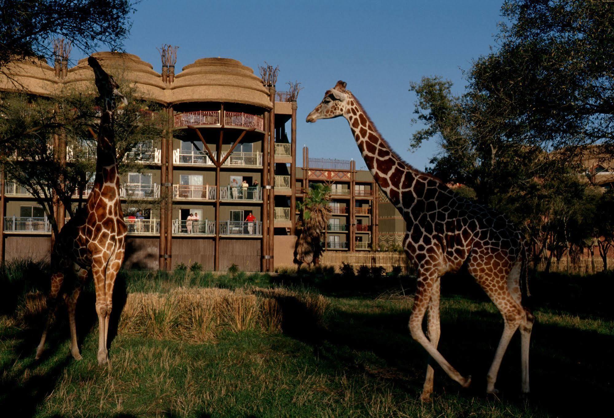 Disney'S Animal Kingdom Villas - Kidani Village Λίμνη Μπουένα Βίστα Εξωτερικό φωτογραφία