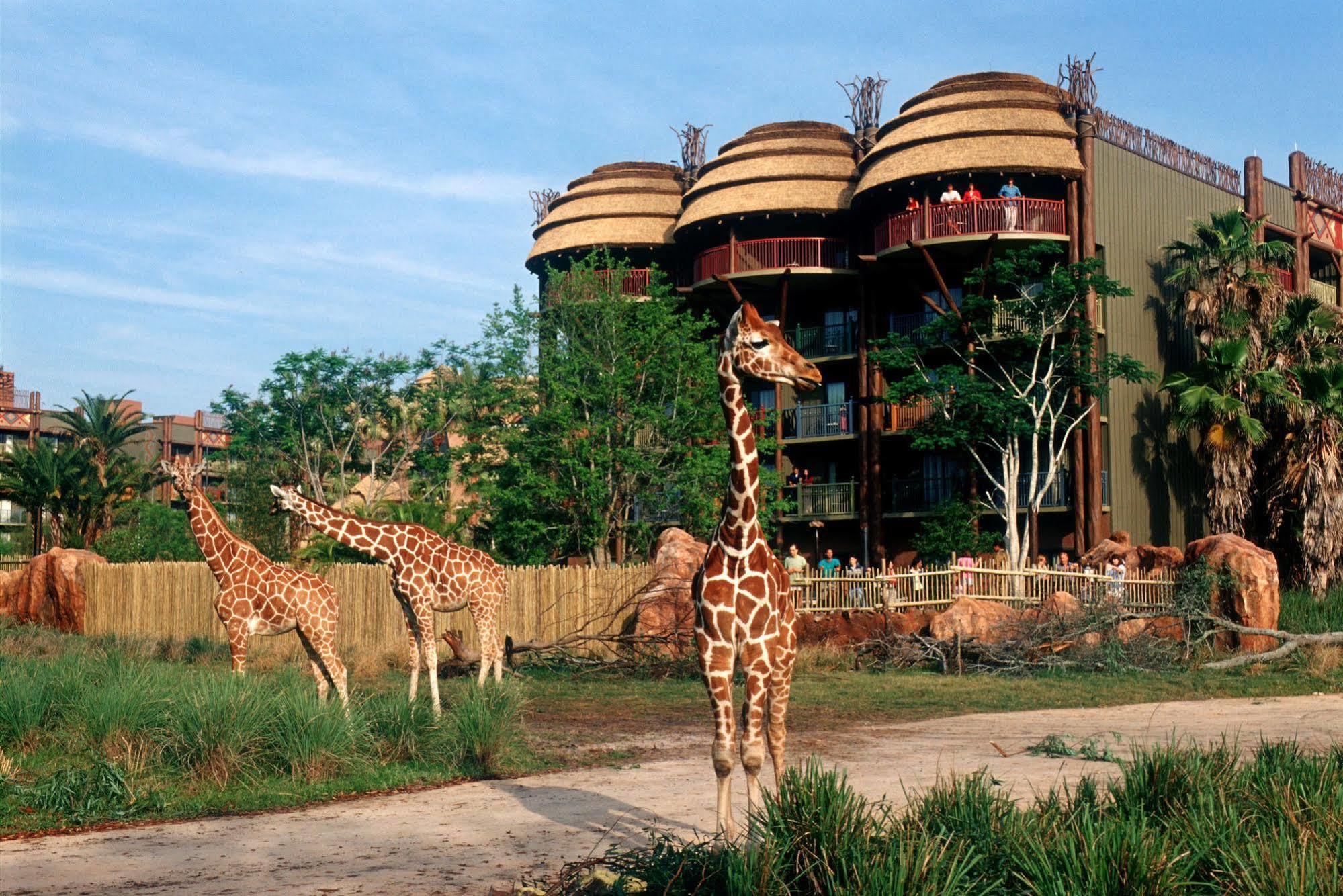 Disney'S Animal Kingdom Villas - Kidani Village Λίμνη Μπουένα Βίστα Εξωτερικό φωτογραφία